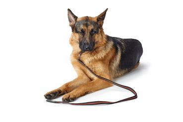 Preview: Führleine Visby Super Grip - gummiert und schwimmfähig