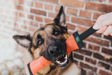 Preview: Apportierdummy Trient