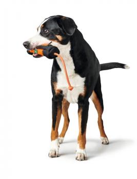Trainer Snack Dummy mit Seil